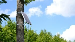 Solar panel attached to a tree