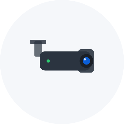 IP Cameras